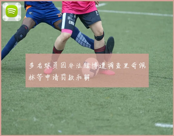 多名球员因非法赌博遭调查里奇佩林等申请罚款和解