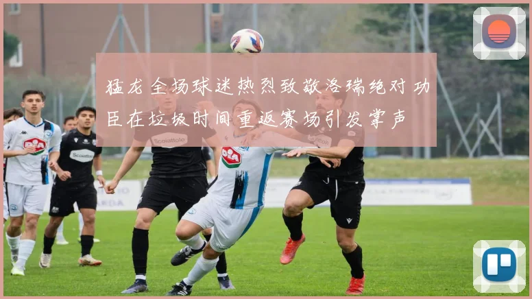 猛龙全场球迷热烈致敬洛瑞绝对功臣在垃圾时间重返赛场引发掌声