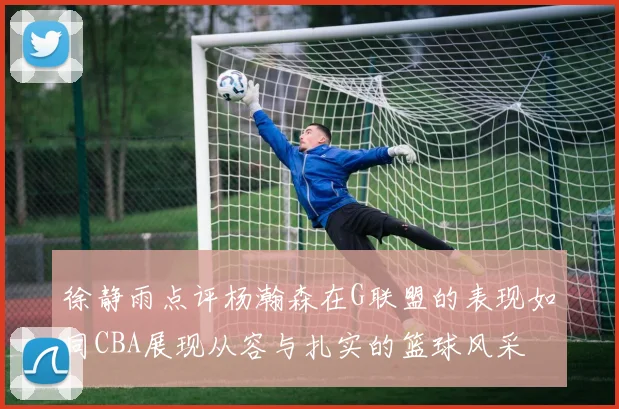 徐静雨点评杨瀚森在G联盟的表现如同CBA展现从容与扎实的篮球风采