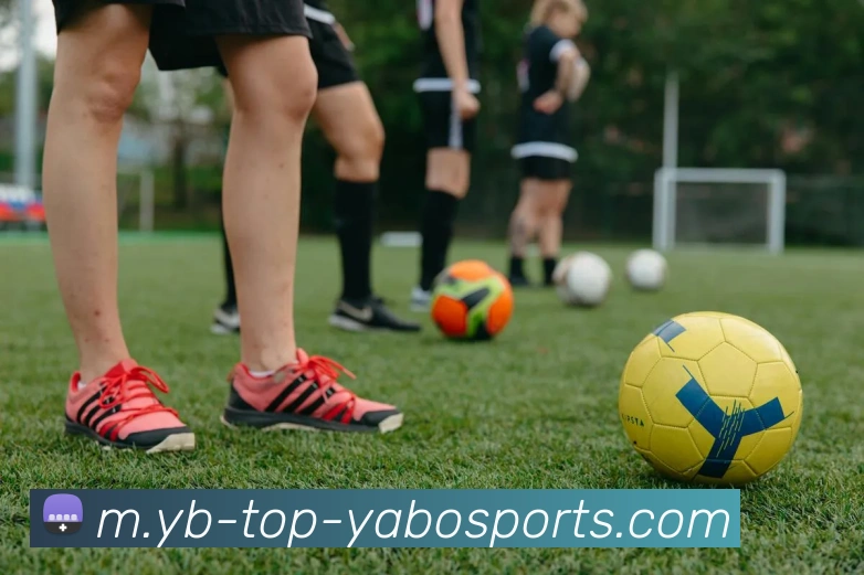 亚博体育平台生态图